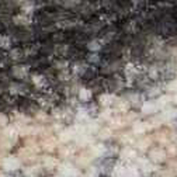 Homeroots 5' X 7' Beige Charcoal And Cream Animal Print Distressed Non Skid Area Rug  Polyester 550420