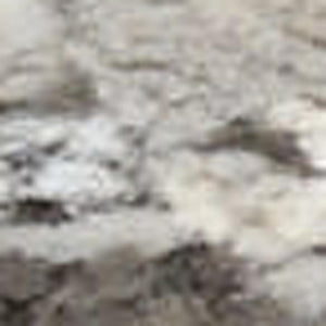 HomeRoots 5' Abstract Ivory and Gray Non-Skid Area Rug - Soft, Stain-Resistant, Durable for High-Traffic Spaces 6' X 9' 550728