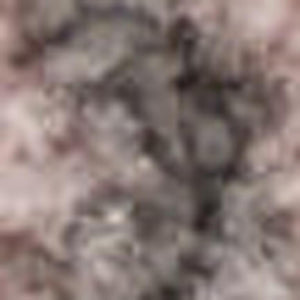 HomeRoots 6' Beige and Gray Floral Area Rug – Elegant Design for Timeless Style and Durable Everyday Use 6' X 9' 550955