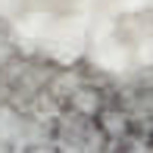 HomeRoots 8' Elegant Ivory and Gray Floral Power Loom Area Rug for Timeless Style in Any Room Décor 8' X 10' 551085