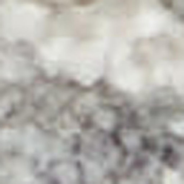 HomeRoots 8' Elegant Ivory and Gray Floral Power Loom Area Rug for Timeless Style in Any Room Décor 8' X 10' 551085