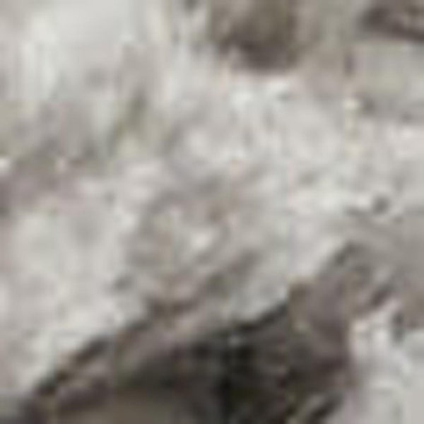 HomeRoots 4' Soft Gray Shag Area Rug - Plush, Stain-Resistant, Durable Design for Cozy, Stylish Interiors 5' X 7' 551121