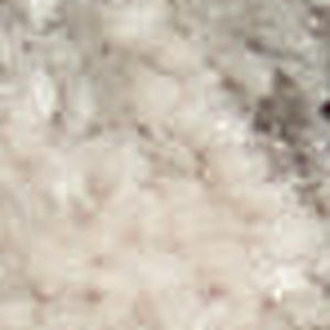HomeRoots 8' Turquoise and Cream Floral Area Rug - Durable, Stain-Resistant Design for Stylish Home Décor 8' X 10' 551139