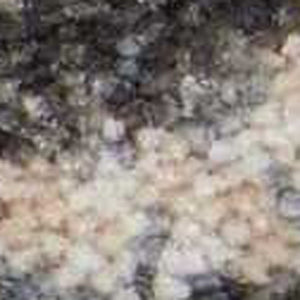 Homeroots 8' X 11' Beige Charcoal And Cream Animal Print Distressed Non Skid Area Rug  Polyester 551159