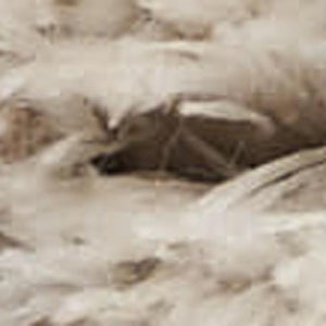 HomeRoots 5' Beige and Ivory Abstract Shag Area Rug - Luxurious, Cozy Texture Perfect for Any Room's Decor 8' X 10' 551273