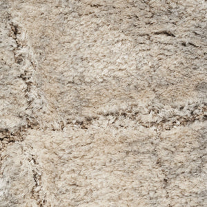HomeRoots 5' Beige and Ivory Abstract Shag Area Rug - Luxurious, Cozy Texture Perfect for Any Room's Decor 8' X 10' 551273