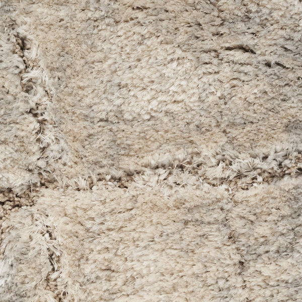 HomeRoots 5' Beige and Ivory Abstract Shag Area Rug - Luxurious, Cozy Texture Perfect for Any Room's Decor 8' X 10' 551273