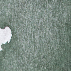 HomeRoots 3' X 5' Gray and Green Abstract Non-Skid Area Rug - Stylish, Safe, and Perfect for Small Spaces! 551802