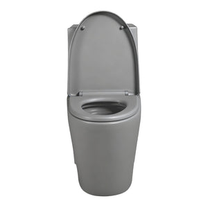 English Elm One-piece Elongated Porcelain Toilet Dual Flush Ada Comfort Height Soft Close Seat Light Grey W1920P425614