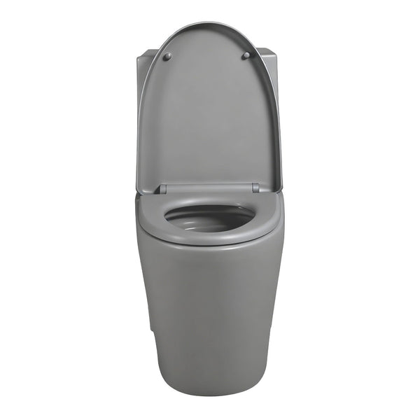 English Elm One-piece Elongated Porcelain Toilet Dual Flush Ada Comfort Height Soft Close Seat Light Grey W1920P425614