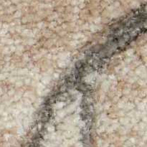 Homeroots 4' X 6' Tan Black And Ivory Damask Area Rug  Polyester 552780