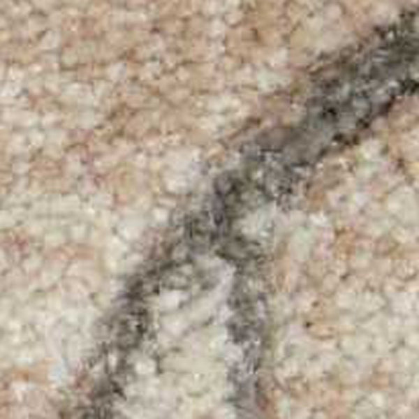 Homeroots 4' X 6' Tan Black And Ivory Damask Area Rug  Polyester 552780