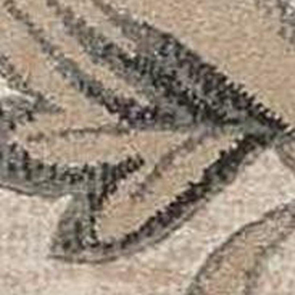 HomeRoots 5' Elegant Tan, Black & Ivory Damask Non-Skid Area Rug - Durable, Stylish, Ideal for Family Spaces 4' X 6' 552780