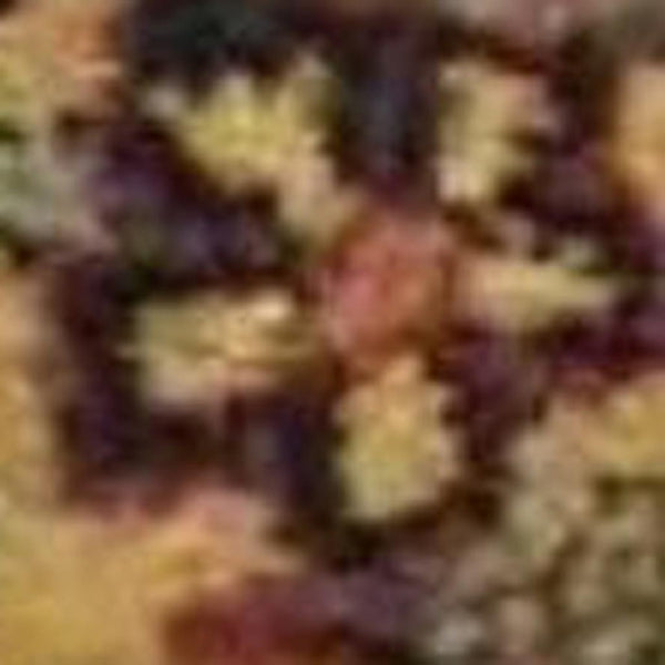 HomeRoots 5' Luxurious Tan, Black, and Red Floral Wool Area Rug - Timeless Design for Cozy Living Spaces 5' X 8' 552871