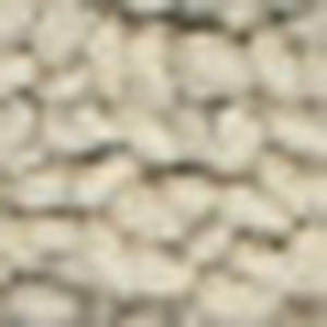 I Need to Find the First Word Common to the Variant Titles. Looking at the Variants, They Start with "8", "7", "5", "4" - These Are Size Values I Must Avoid. Let Me Look at the Key: "taupe-wool-area-rug" - but I to the Original From The