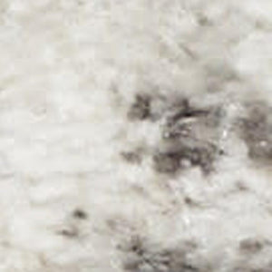 HomeRoots 8' Cream and Gray Abstract Area Rug - Durable, Non-Skid Design Perfect for High-Traffic Homes 9' X 12' 554730
