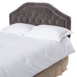 Christopher Knight Home® Noble House Earlton Headboard