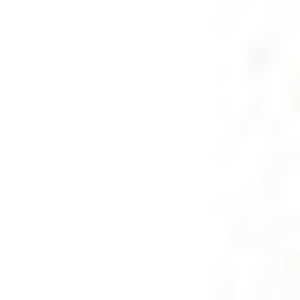 Homeroots 8' X 10' Rust Oriental Distressed Area Rug With Fringe  Polyester 555384