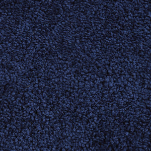 HomeRoots 8' Blue Shag Area Rug – Luxurious Plush Comfort for Modern Spaces, Stain-Resistant & Versatile Design 8' X 10' 556122