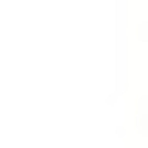 Homeroots 10' Cream And Beige Striped Distressed Indoor Outdoor Runner Rug  Polypropylene 558799