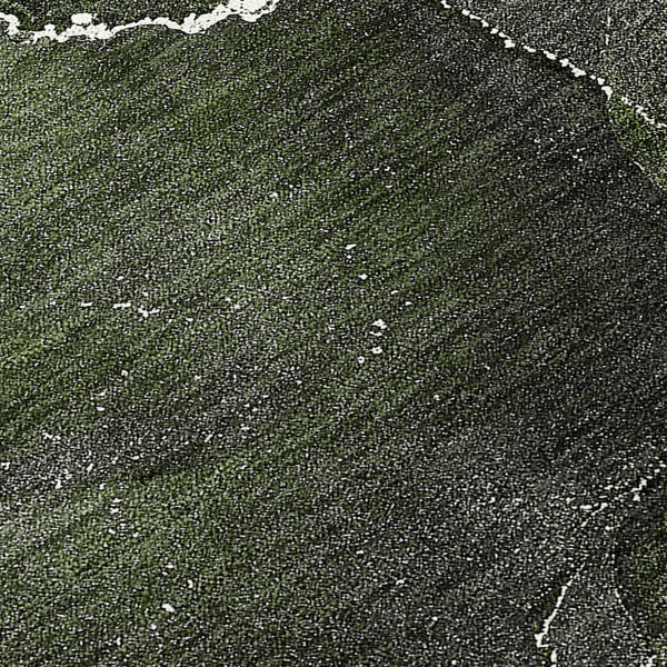 Homeroots 3' X 5' Green Abstract Washable Non Skid Indoor Outdoor Area Rug Green Polyester 559454