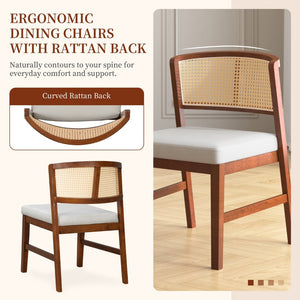 English Elm Rattan Back Armless Dining Chairs Upholstered Seat Rubberwood Frame Kitchen Set of 2 Walnut N842P400687W