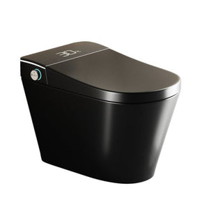 English Elm Unique Intelligent One-piece Toilet with Integrated Bidet Heated Seat and Auto Lid Black W3133P414563