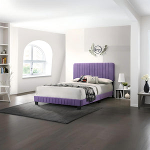 English Elm Stylish Velvet-Accented Queen Bed with Channel Tufting, Sturdy Wood Slats & Modern Timeless Design Purple 26.8 L x 65.8 W x 5 H B078107902
