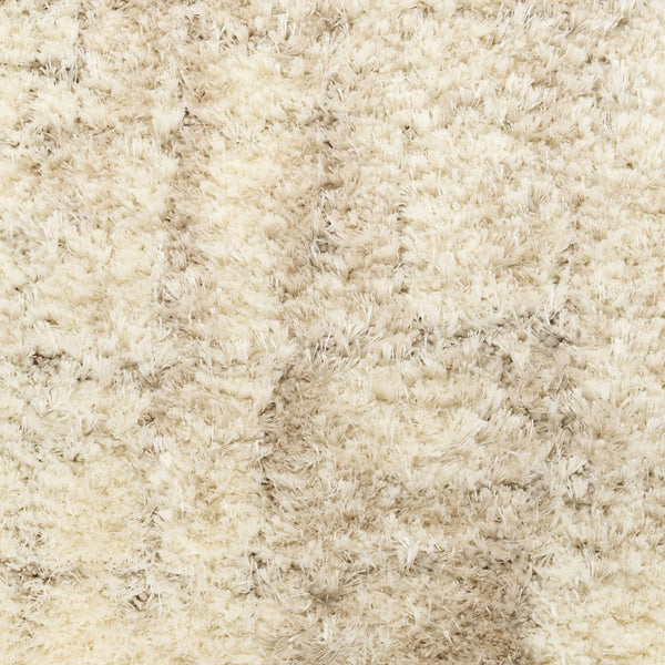HomeRoots 4' Plush Beige and Ivory Abstract Shag Area Rug - Soft, Durable, and Stylish for Any Room Decor 4' X 6' 564065