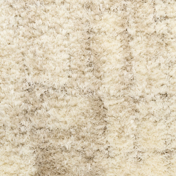 HomeRoots 4' Plush Beige and Ivory Abstract Shag Area Rug - Soft, Durable, and Stylish for Any Room Decor 4' X 6' 564065