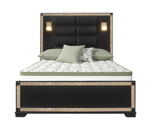 HomeRoots Black Faux Crystal Bling Full Bed Frame with Gold Accents and Ambient Lighting for Luxe Bedrooms 564758