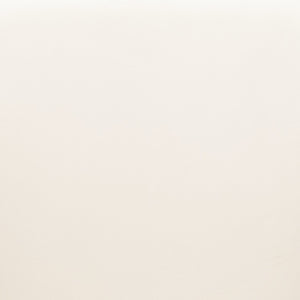 HomeRoots Set of Two Ivory and Black Velvet Dining Arm Chairs - Modern Comfort with Chic Style for Any Room 564978