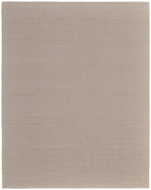 HomeRoots 8' Hand-Woven Ivory and Tan Area Rug - Elegant, Durable Design for Timeless Home Décor Appeal 8' X 10' 567759