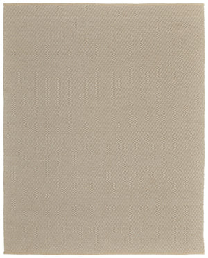 Homeroots 9' X 12' Tan Hand Woven Area Rug Ivory Polypropylene 567788