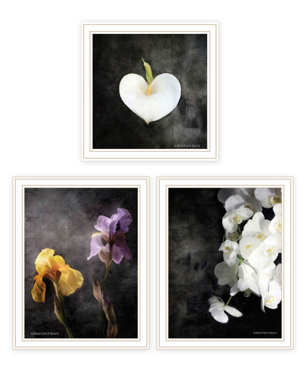 HomeRoots Set of Three Framed Botanical Flower Prints - Elegant Acrylic Art for Modern Wall Décor 568430
