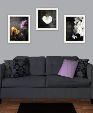 HomeRoots Set of Three Framed Botanical Flower Prints - Elegant Acrylic Art for Modern Wall Décor 568430