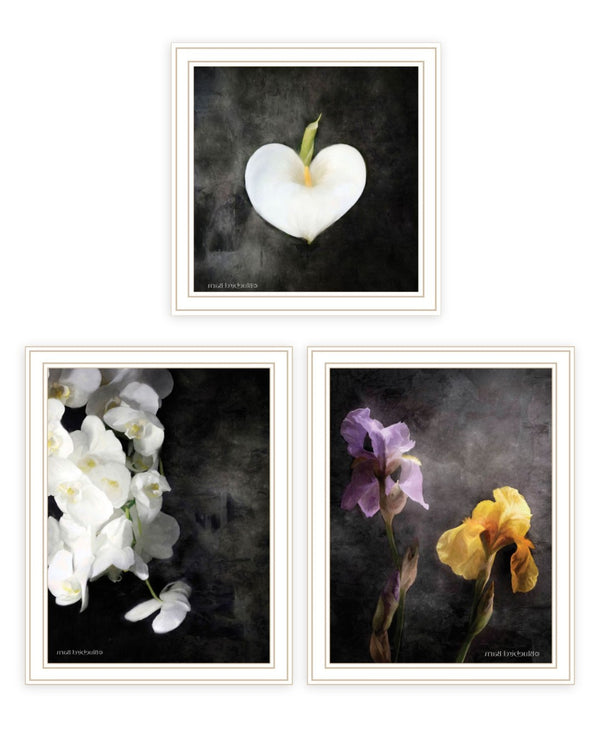 HomeRoots Set of Three Framed Botanical Flower Prints - Elegant Acrylic Art for Modern Wall Décor 568430