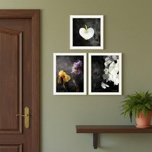 HomeRoots Set of Three Framed Botanical Flower Prints - Elegant Acrylic Art for Modern Wall Décor 568430