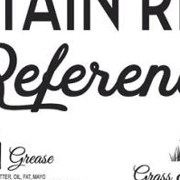 HomeRoots Set of Two Framed Laundry Art Prints - Stylish Stain Removal Guide for a Chic Utility Space Decor 568665