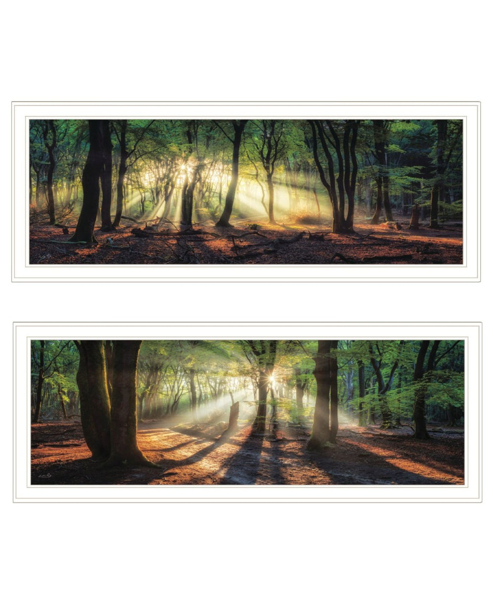 HomeRoots Set of Two Serene Sun Rays in Forest Wall Art - Modern White Framed Prints for Stylish Decor 568739