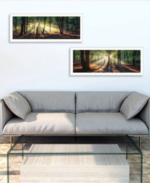 HomeRoots Set of Two Serene Sun Rays in Forest Wall Art - Modern White Framed Prints for Stylish Decor 568739