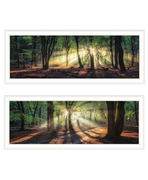 HomeRoots Set of Two Serene Sun Rays in Forest Wall Art - Modern White Framed Prints for Stylish Decor 568739