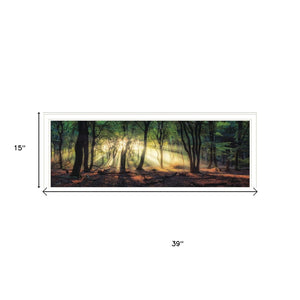 HomeRoots Set of Two Serene Sun Rays in Forest Wall Art - Modern White Framed Prints for Stylish Decor 568739