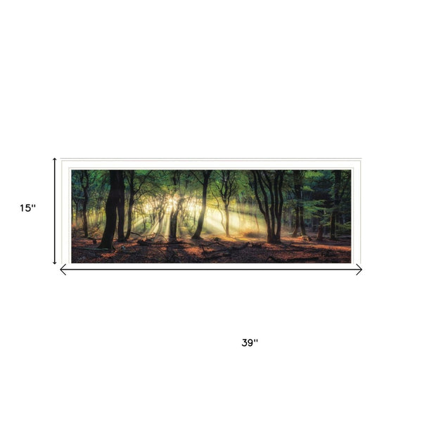 HomeRoots Set of Two Serene Sun Rays in Forest Wall Art - Modern White Framed Prints for Stylish Decor 568739