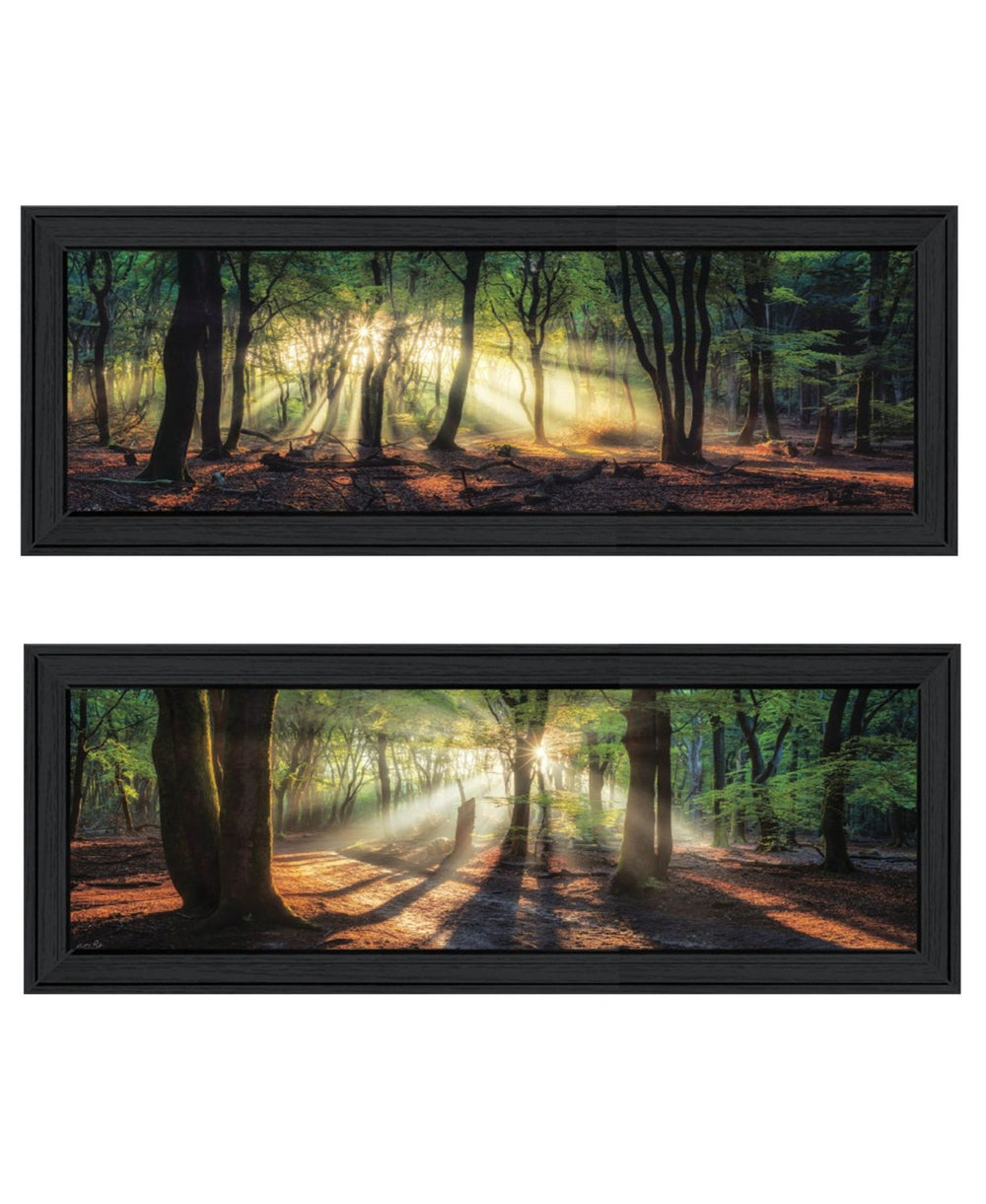 HomeRoots Set of Two Sun Rays Forest Wall Art Prints in Black Frames – Perfect for Home or Office Decor 568740