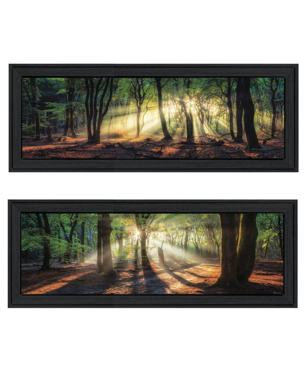 HomeRoots Set of Two Sun Rays Forest Wall Art Prints in Black Frames – Perfect for Home or Office Decor 568740