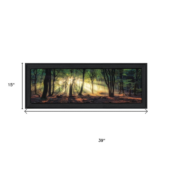 HomeRoots Set of Two Sun Rays Forest Wall Art Prints in Black Frames – Perfect for Home or Office Decor 568740