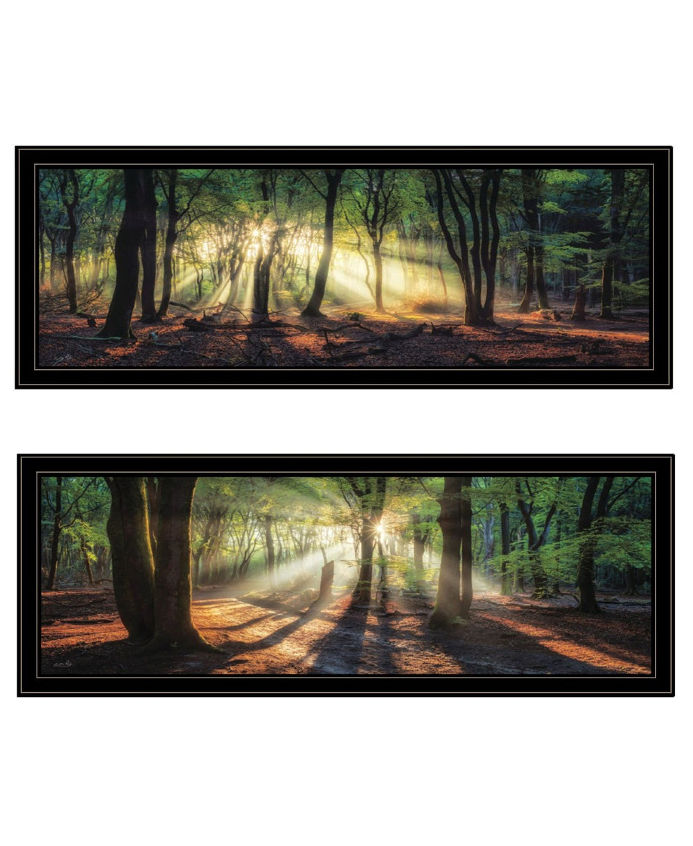 HomeRoots Set of Two Elegant Sun Rays in Forest Black Framed Wall Art – Serene Nature-Inspired Décor Piece 568741