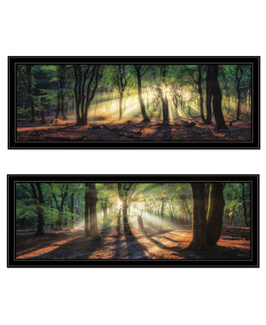 HomeRoots Set of Two Elegant Sun Rays in Forest Black Framed Wall Art – Serene Nature-Inspired Décor Piece 568741