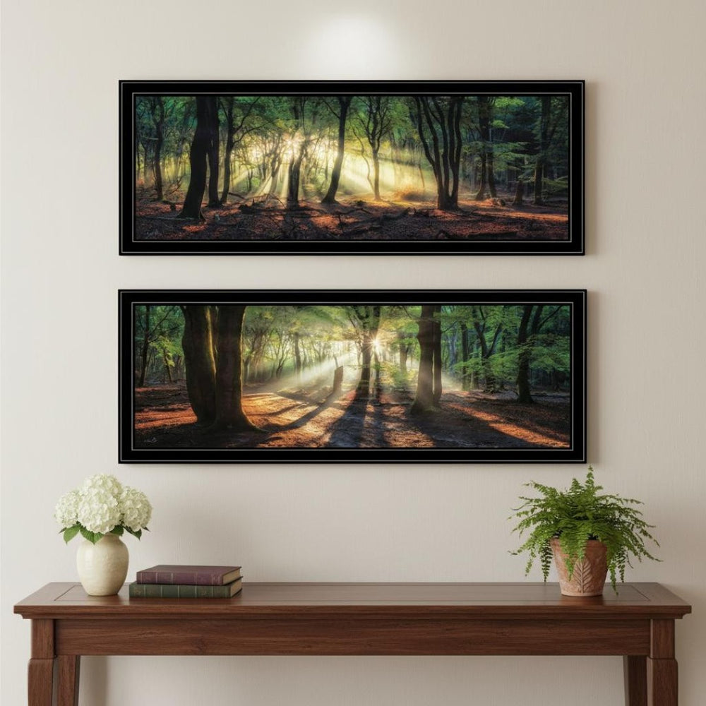 HomeRoots Set of Two Elegant Sun Rays in Forest Black Framed Wall Art – Serene Nature-Inspired Décor Piece 568741